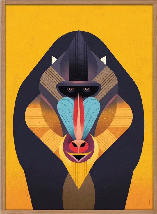 Mandrill Poster (50x70cm)
