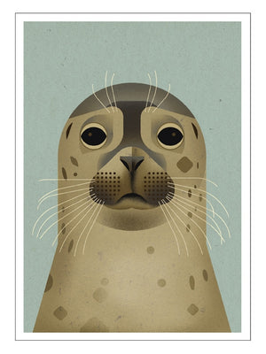 Seal Postkarte