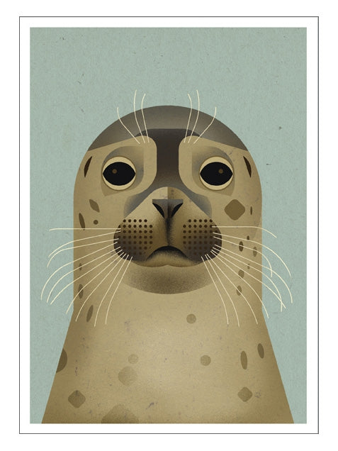 Seal Postkarte