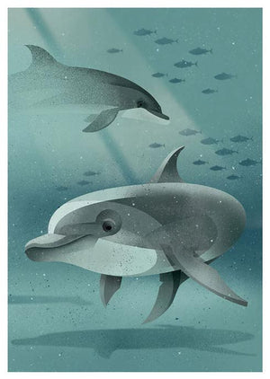 Bottlenose Dolphin Postkarte