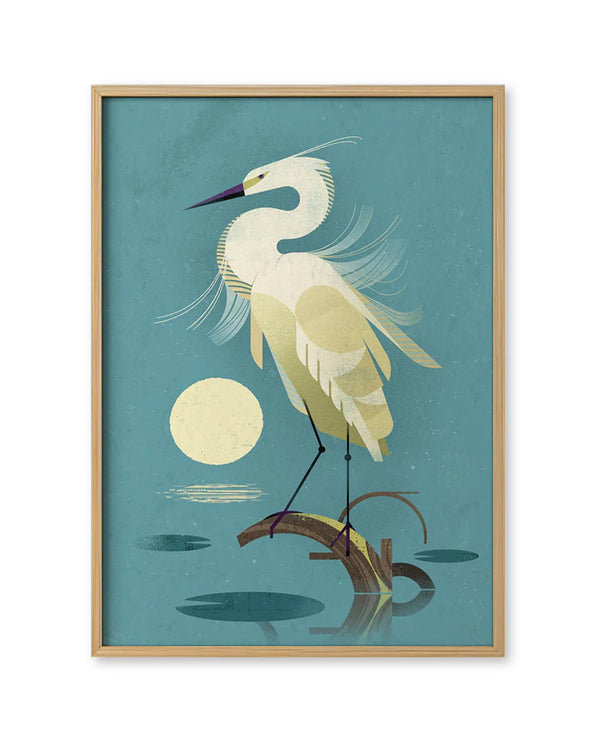Little Egret Poster (50 x 70 cm)