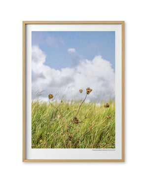 Wochenender Serie: Eiderstedt Poster (Din A3)