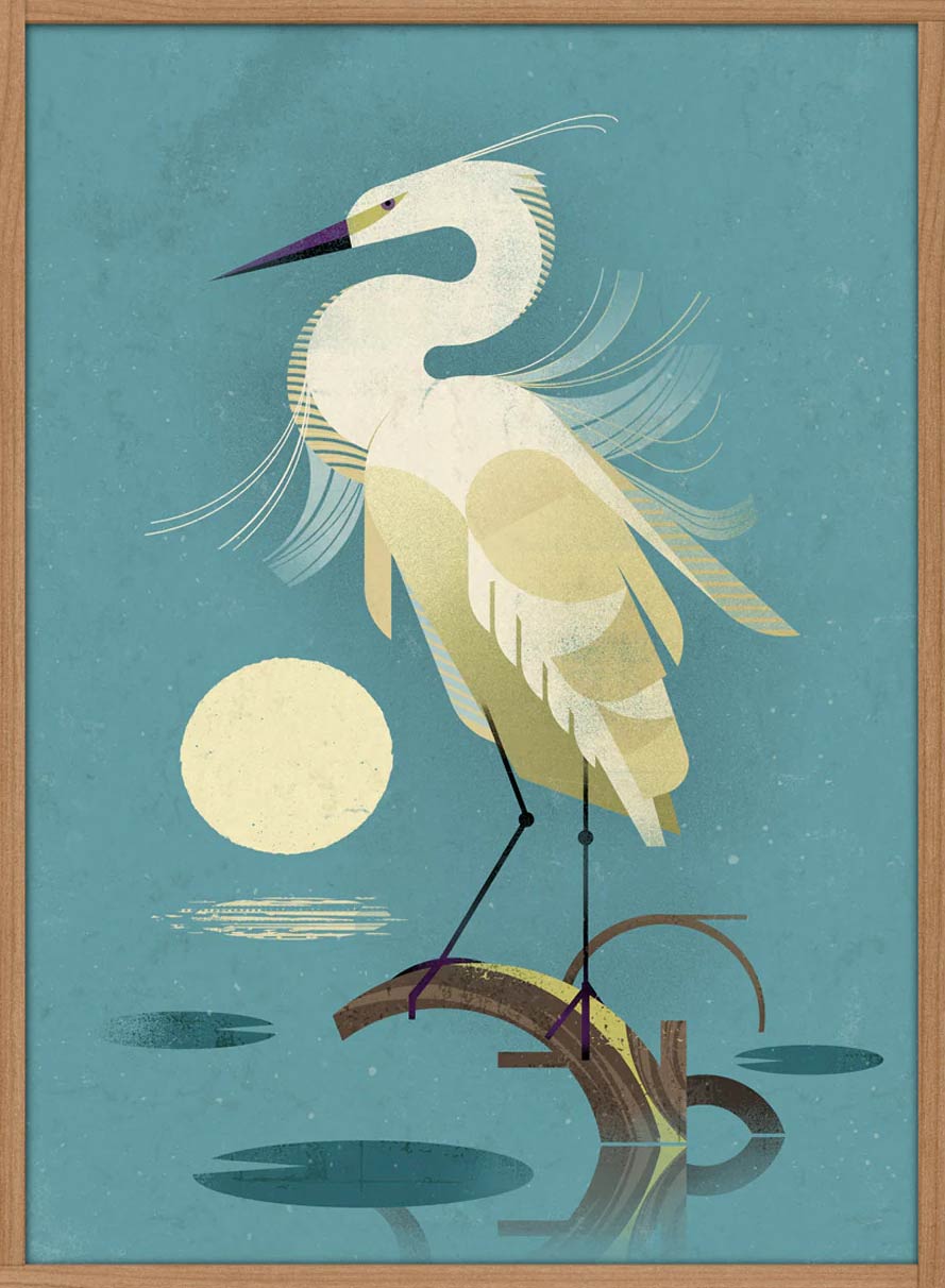 Little Egret Poster (50 x 70 cm)