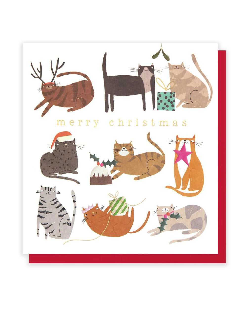 Festive Cats Christmas Klappkarte