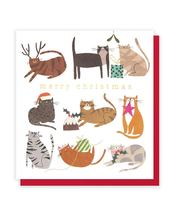 Festive Cats Christmas Klappkarte