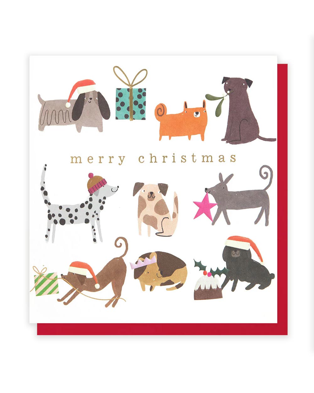 Festive Dogs Christmas Klappkarte