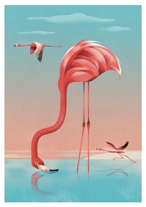 Flamingo Postkarte