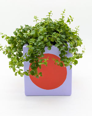 Art Pot Lilac Red Dot - Unikat