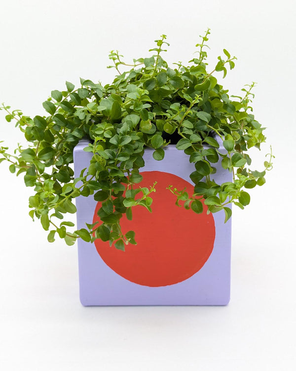 Art Pot Lilac Red Dot - Unikat