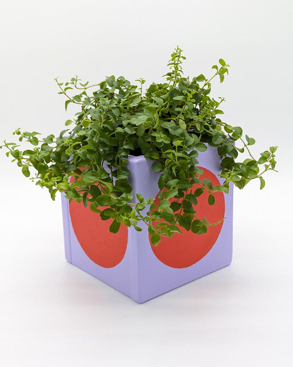 Art Pot Lilac Red Dot - Unikat