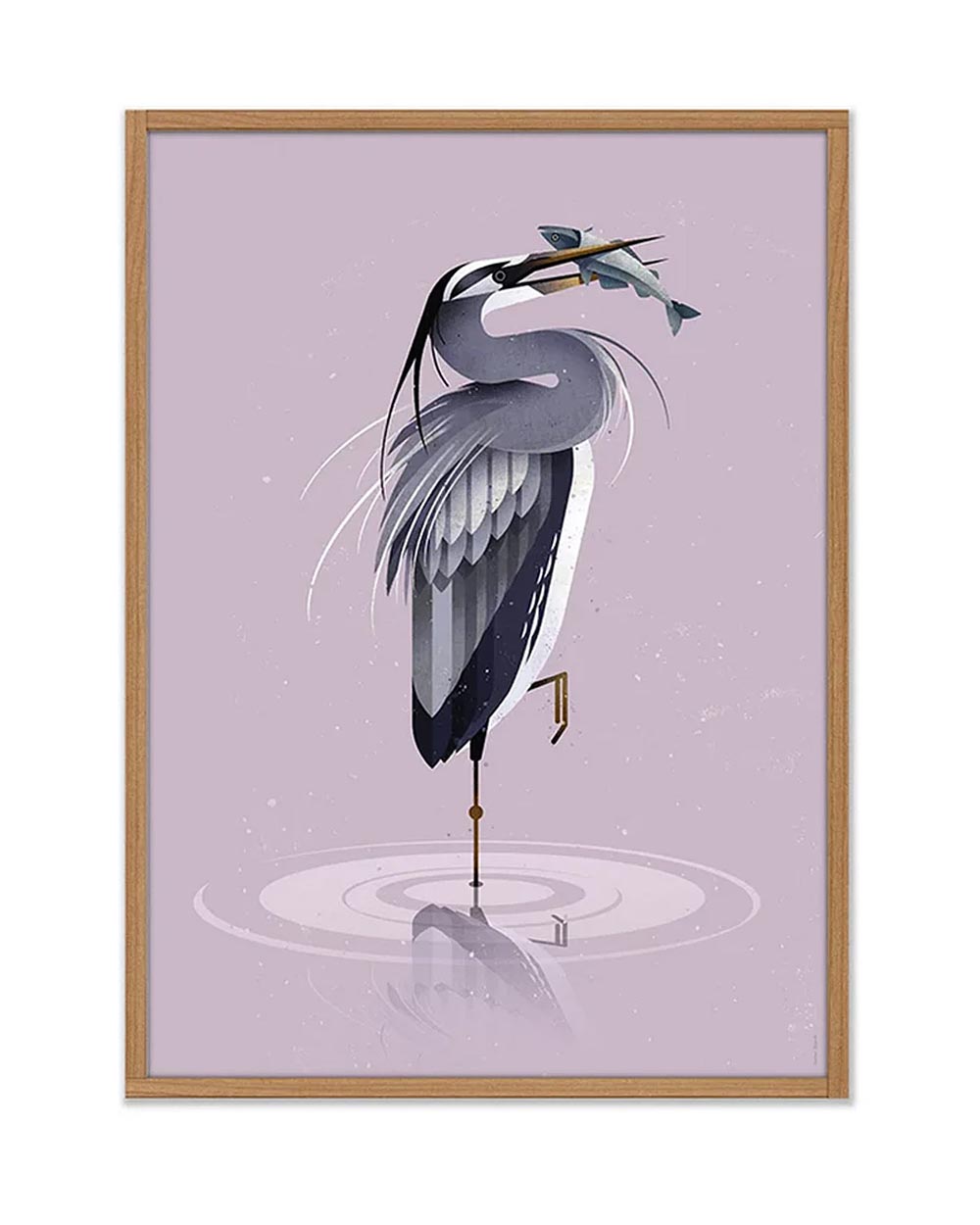 Dieter Braun Grey Heron Poster (50x70cm)
