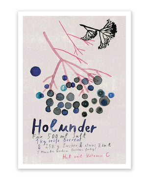 Holunder Postkarte A6