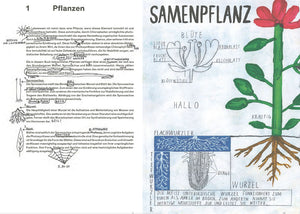 Oh, eine Pflanze! Bestimmungsbuch