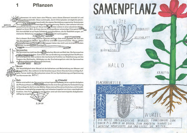 Oh, eine Pflanze! Bestimmungsbuch