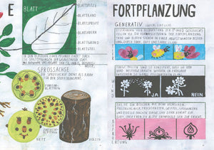 Oh, eine Pflanze! Bestimmungsbuch