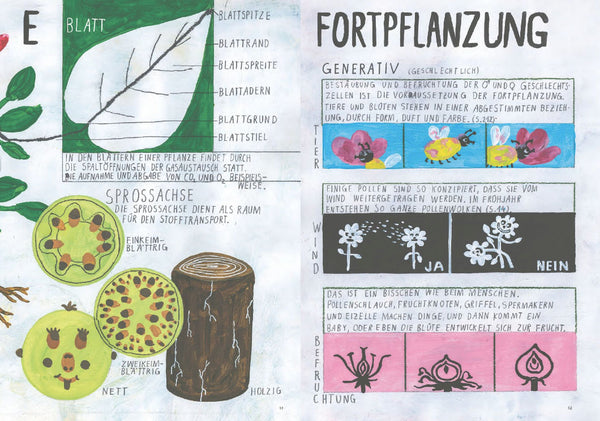 Oh, eine Pflanze! Bestimmungsbuch