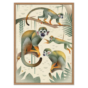 Monkeys Poster (50 x 70cm)