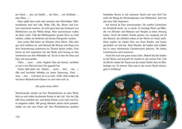 Winter im Holunderweg