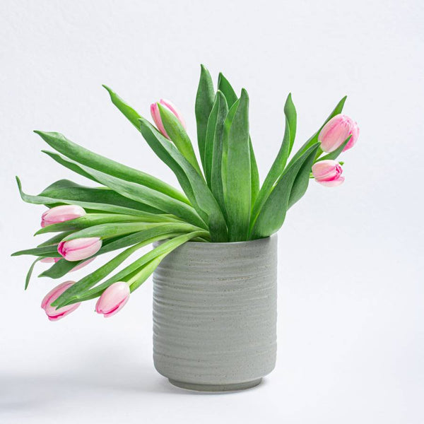 Earth Pot Green
