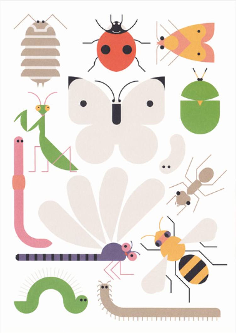 Insekten Postkarte