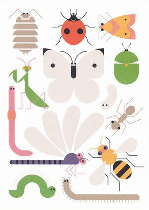 Insekten Postkarte