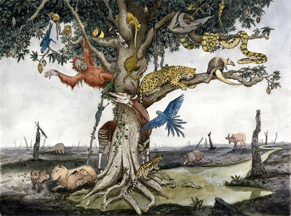 Der Wald ohne Bäume