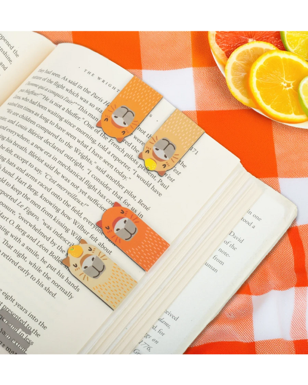 Magnetische Lesezeichen Capybara (4er-Set)