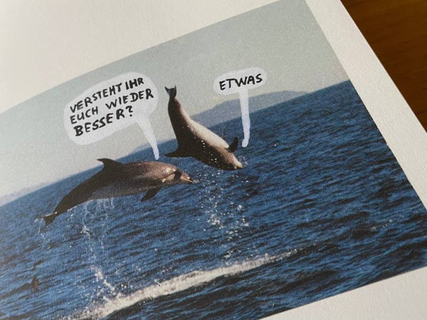 Auf der Suche nach Trouble