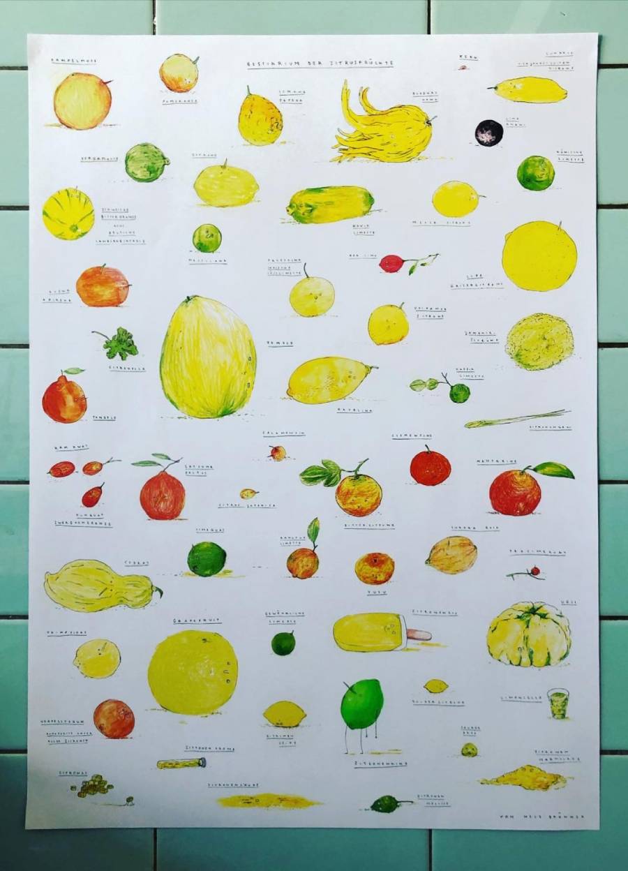Bestiarium der Zitrusfrüchte Poster (Din A2)