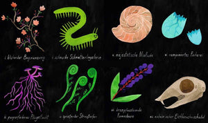 Moor Myrte und das Zaubergarn