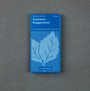 Common Peppermint Saatgut