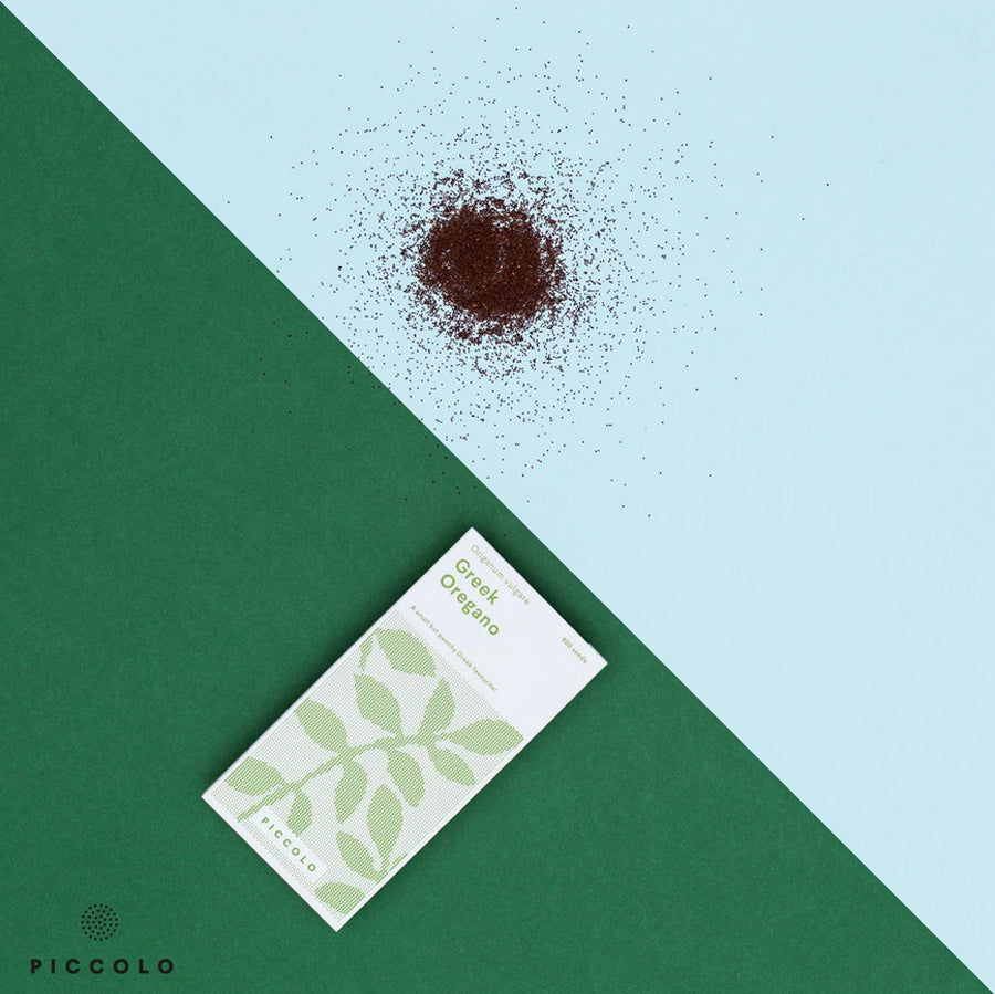 Oregano Greek Saatgut