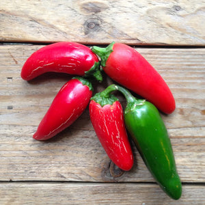 Hot Pepper Jalapeño M Saatgut