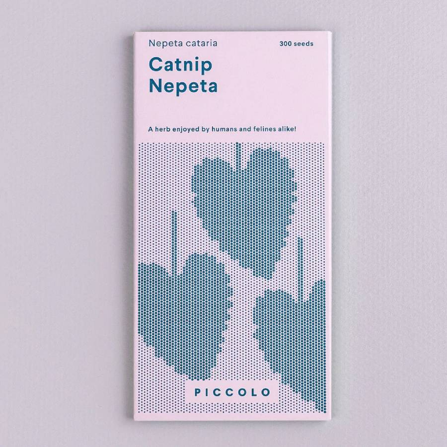 Katzenminze Nepeta Saatgut