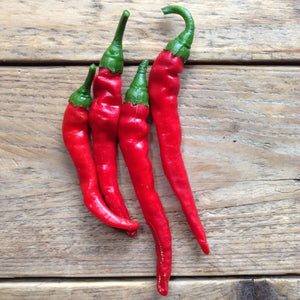 Hot Pepper Cayenne Long Slim Saatgut