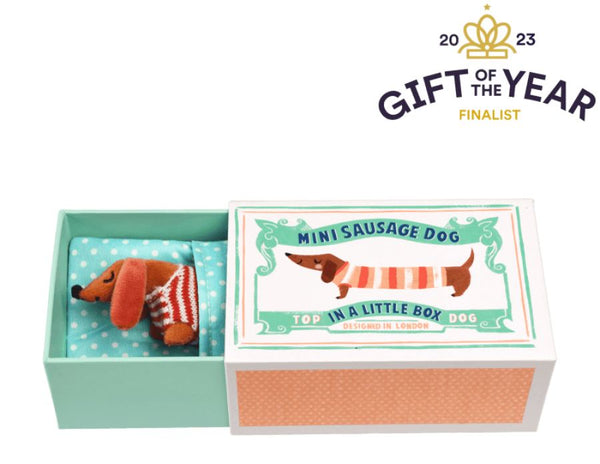 Mini Sausage Dog in a Little Box