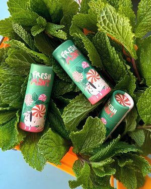 Lip Balm Fresh Mint