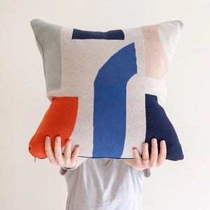 Kissen Bruten Multi