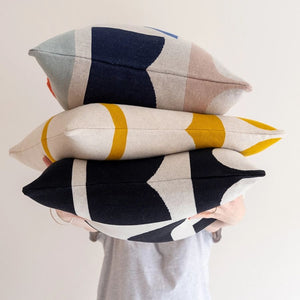 Kissen Bruten Multi