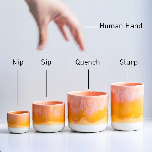 Slurp Cup Fruit Jelly Flux