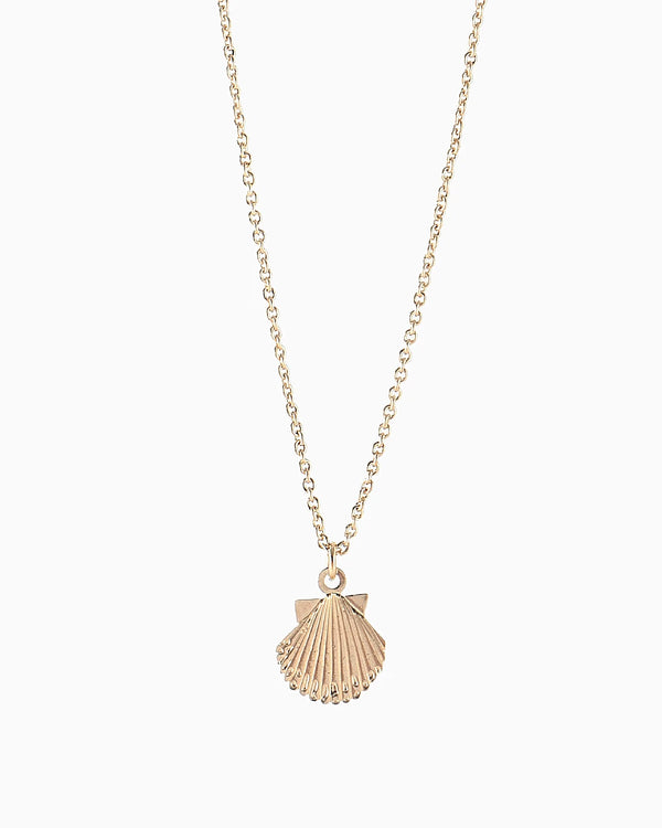 Collection Titlee Longbeach Muschel-Halskette