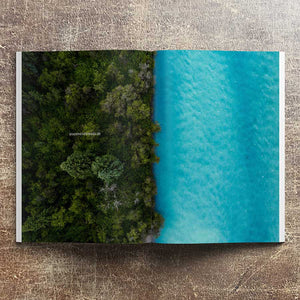 Waves & Woods No. 20
