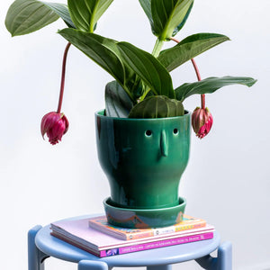 Studio Arhoj Fnoobie Pot Large