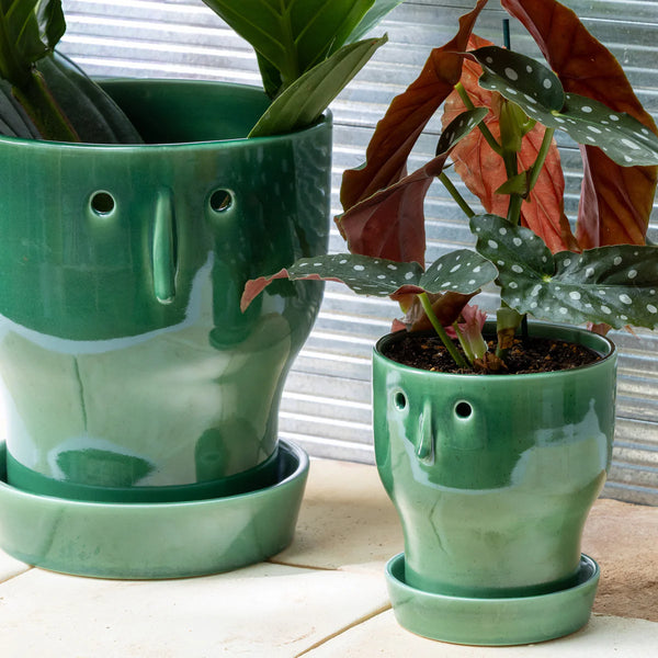 Studio Arhoj Fnoobie Pot Large