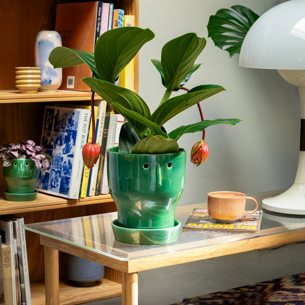 Studio Arhoj Fnoobie Pot Large