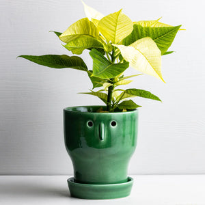 Studio Arhoj Fnoobie Pot Small