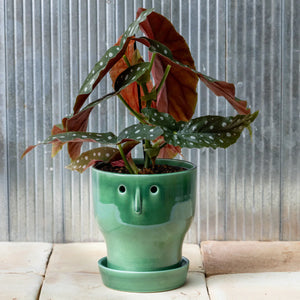 Studio Arhoj Fnoobie Pot Small