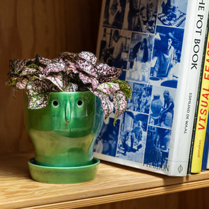 Studio Arhoj Fnoobie Pot Small