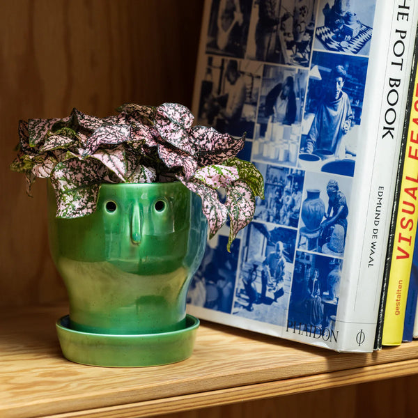 Studio Arhoj Fnoobie Pot Small