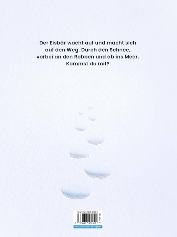 Ein Eisbär im Schnee